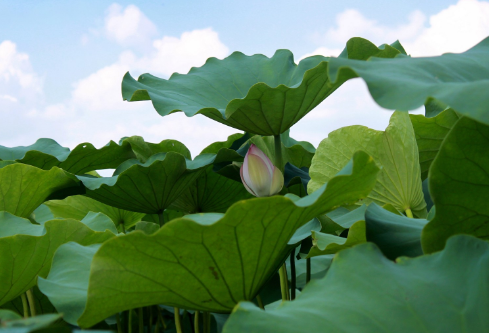 1686878876324648.png image.png