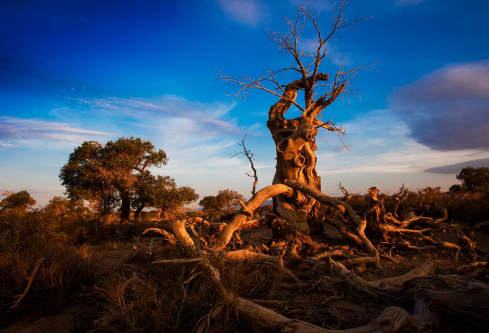 1686879043911069.png image.png