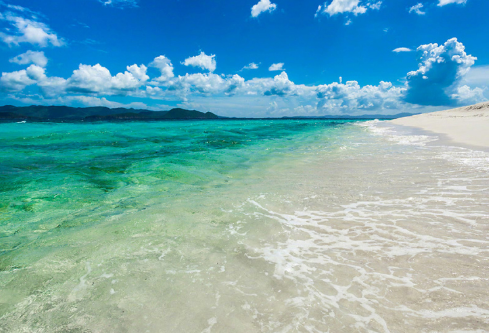 1686879209661791.png image.png