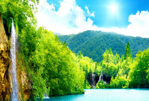 1686879376932160.png image.png