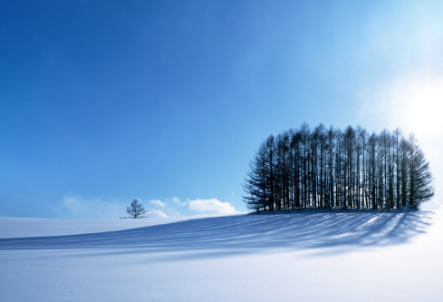 1686879542861534.png image.png