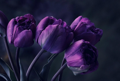 ​独特新颖的男孩名字大全