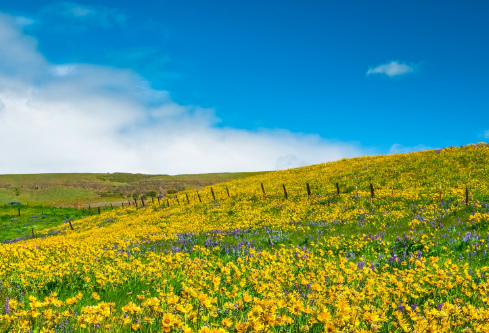 1686880707819402.png image.png