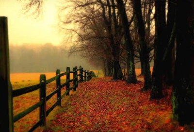 ​孔姓女孩活波点的名字推荐