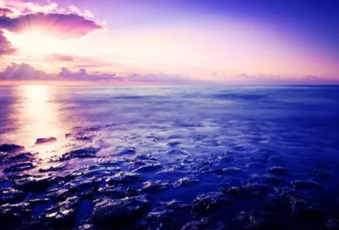 1686881706823771.png image.png