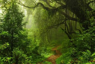 ​12个霸气十足的国风男孩名，文经武略、厚德载福，念着口齿生香