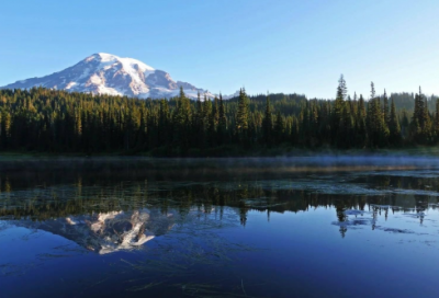 ​水木清华，明目善睐的女孩名字，实在太让人心动了