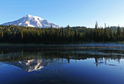 1686885549924909.png image.png