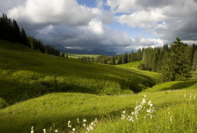 ​说文解字中气质如轩的男孩名，志存高远，扬帆勇航，寓意前程似景