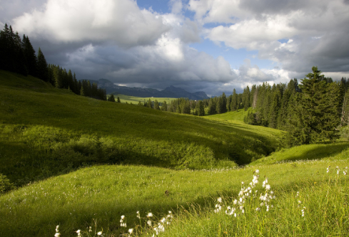 1686886215182486.png image.png