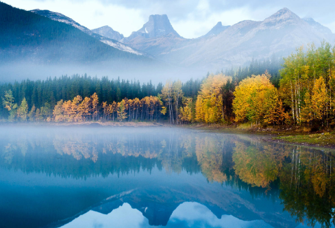 1686886381861805.png image.png