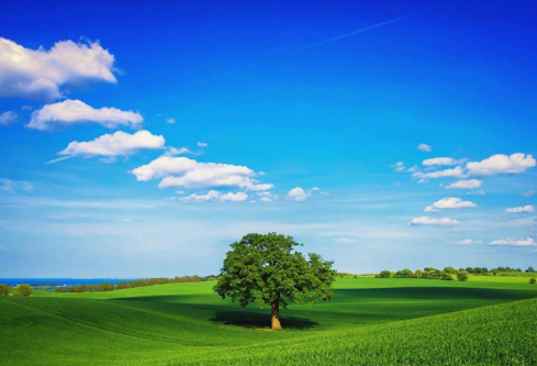 1686886714592787.png image.png