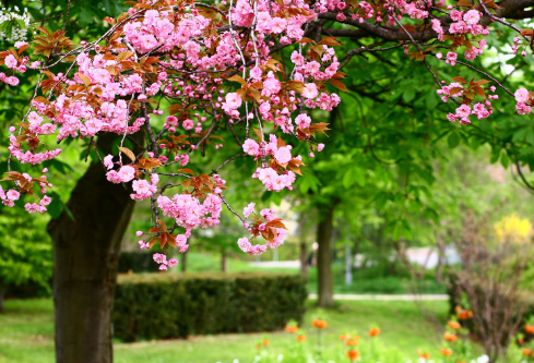 1686887879760554.png image.png