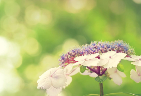 1686891549210757.png image.png