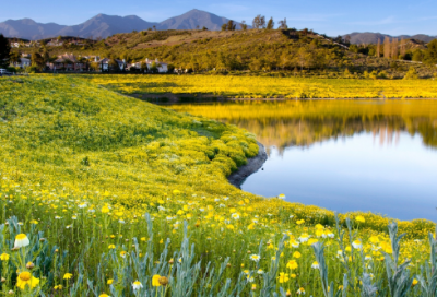 ​牛宝宝起名牛年热门文艺的男孩女孩名字大全