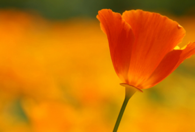 ​宝宝起名仙气十足，难得一遇的女孩名字大全