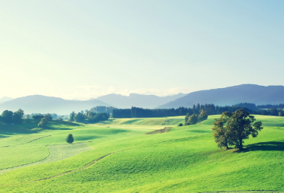 ​女孩诗经起名方法大全诗经中唯美的女孩名字大全