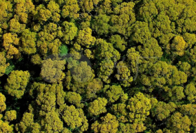 ​女孩怎么起名好？表示吉祥安康，温柔美丽的女宝宝名字推荐给你