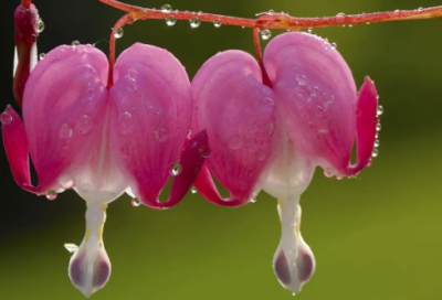 ​起个江天一色的好名，做个空中皎月般大雅如镜的女孩