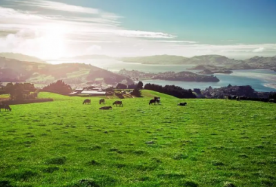 ​女孩名字对运势有哪些影响？