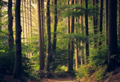 ​宝宝起名生个男孩，给他起个干净阳光，平安吉祥的好名字