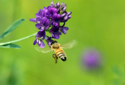 ​有凌霄之志的男孩名字推荐