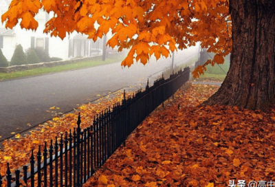 ​起个含辞未吐气若幽兰的女孩名做个腹有诗书气自华的美女子