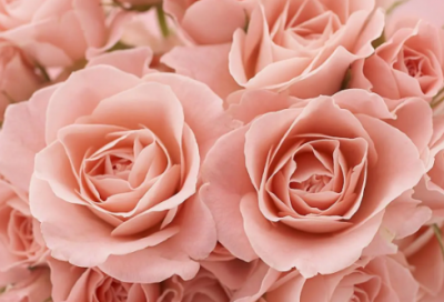 ​男孩大气有涵养的名字推荐