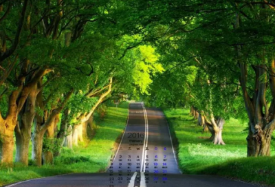 ​女孩名字吉祥好听的女宝宝名字及小名推荐