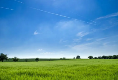 ​有解释的张姓男女孩名字大全