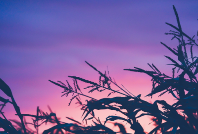 ​应急救援演练方案（通用24篇）