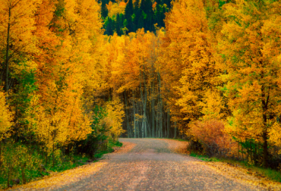 ​冬季施工方案(15篇)