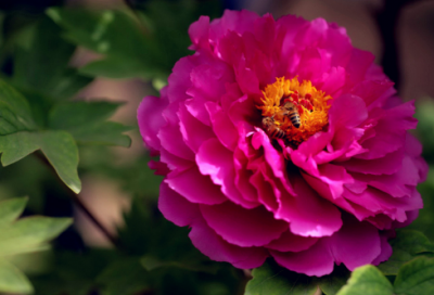 ​冬季施工方案（精选13篇）