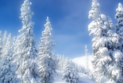 ​创业活动方案（通用20篇）