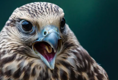 ​新农村建设规划方案范文（通用15篇）