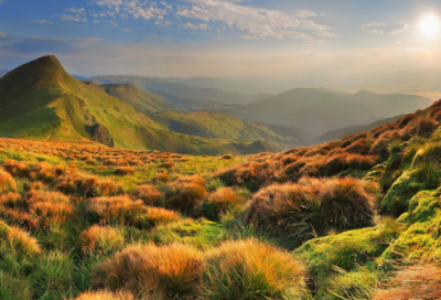 ​人力资源工作方案（精选15篇）