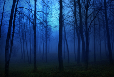 ​辽史白话文阅读（辽史全文翻译）