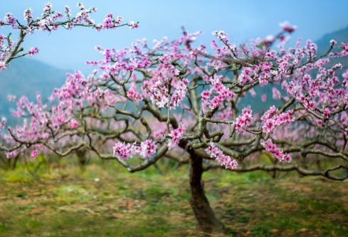 1687242378117597.png image.png