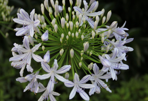 1687242711326119.png image.png