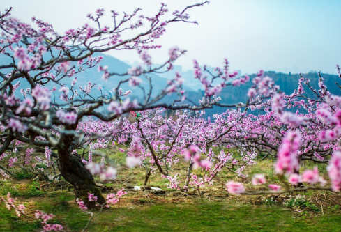 1687244378903892.png image.png