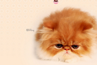 ​龚自珍咏史全文翻译（龚自珍咏史赏析）