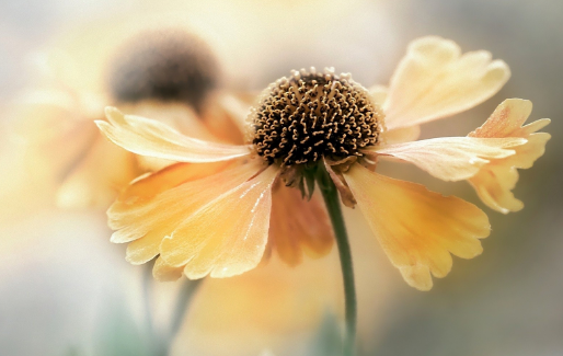 1687255470842995.png image.png