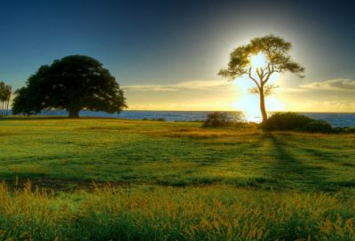 ​初三化学教学工作计划