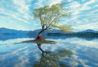 ​六年级语文《ao ou iu 》说课稿一等奖