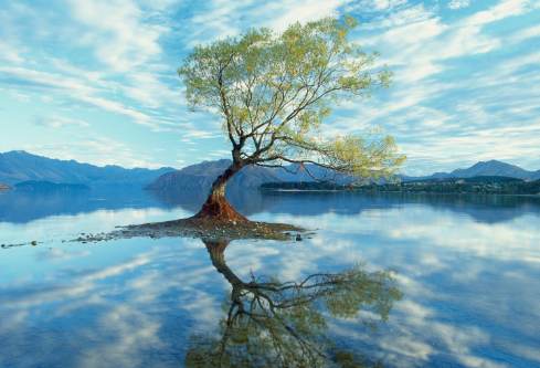 1687528646729277.png image.png