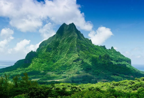 1687528812987145.png image.png