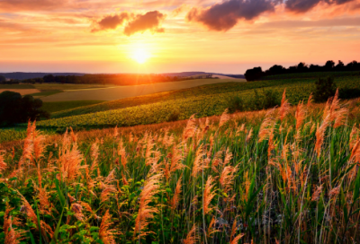​海燕的优秀教学设计一等奖