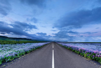 ​王建《十五夜望月》译文及赏析