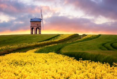 ​《我们来跳舞》教学设计一等奖