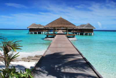 ​《金蝉脱壳》第二课时教学设计一等奖